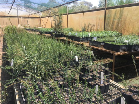 Euroa Arboretum - Accommodation Sunshine Coast 1