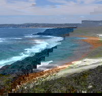 Forresters Beach - Accommodation Sunshine Coast