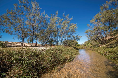 Freshwater Creek Track, Byfield National Park - Accommodation Sunshine Coast 0