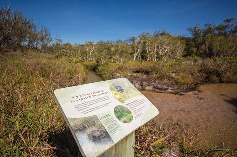 Freshwater Creek Track, Byfield National Park - Accommodation Sunshine Coast 1