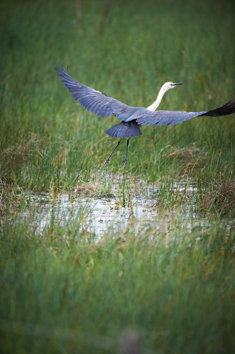 Germein Reserve - Accommodation Sunshine Coast 0