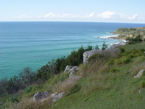 Goanna Headland - Accommodation Sunshine Coast 1