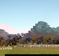 Grampians - Accommodation Sunshine Coast