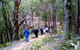 Greater Blue Mountains Heritage Trail - thumb 2