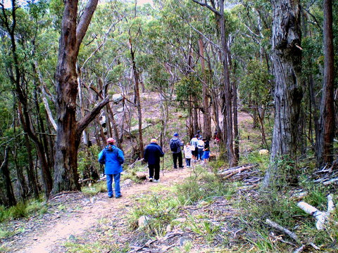 Greater Blue Mountains Heritage Trail - Accommodation Sunshine Coast 2