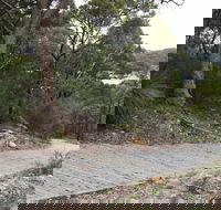 Great North Walk  Ku-ring-gai Chase National Park - Accommodation Sunshine Coast
