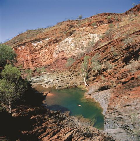 Hamersley Gorge - Accommodation Sunshine Coast 0