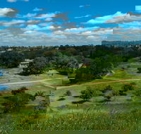 Hawkstowe Picnic Area - Accommodation Sunshine Coast