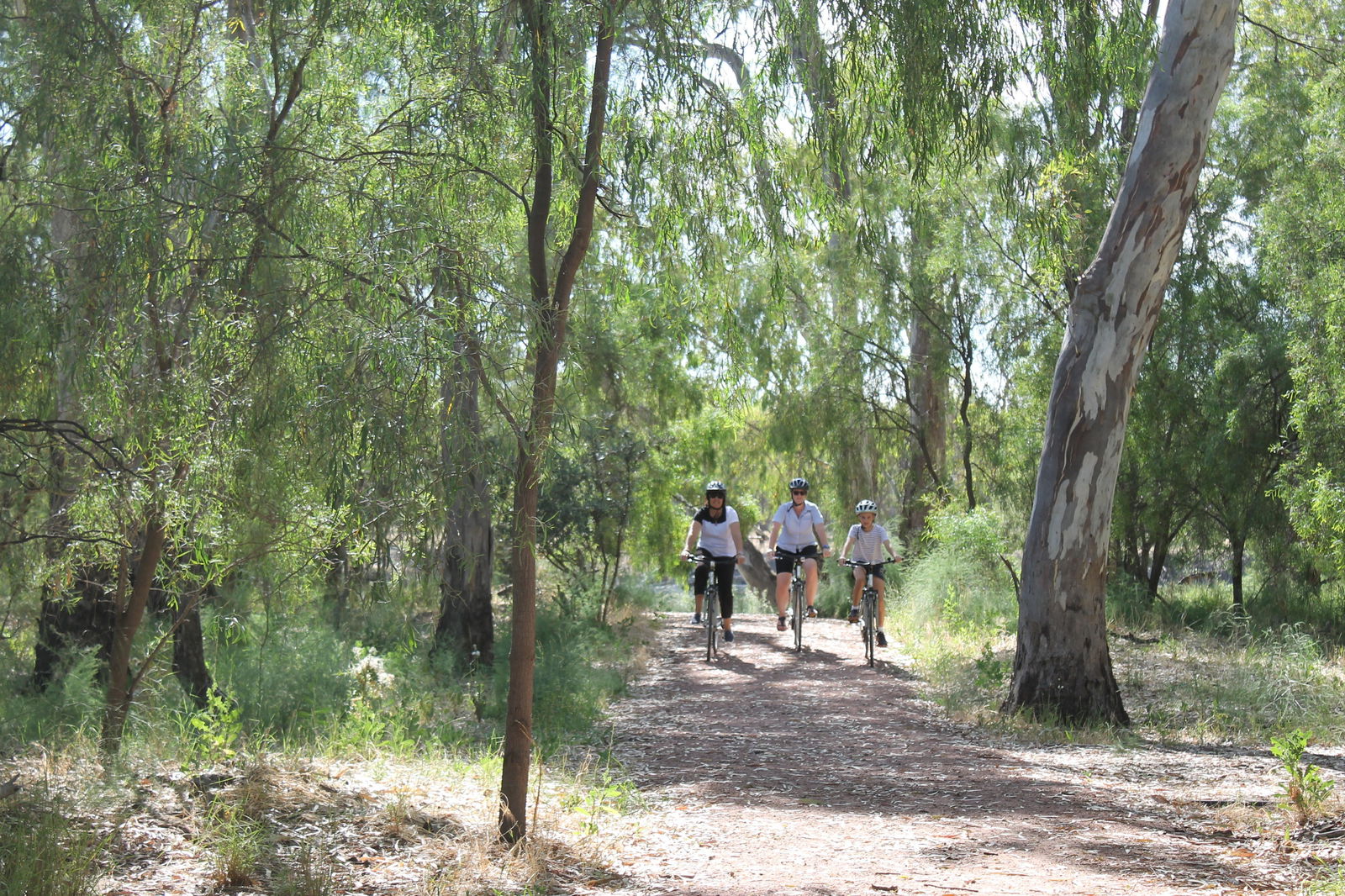  Accommodation Sunshine Coast