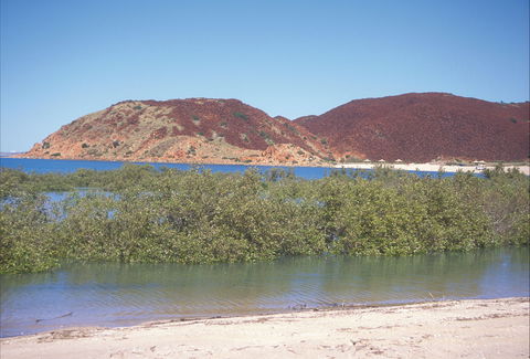 Hearson's Cove - Accommodation Sunshine Coast 1