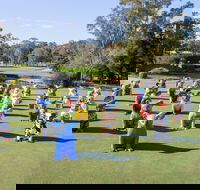 Hello Koalas Sculpture Trail - Accommodation Sunshine Coast