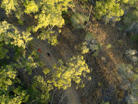 Hillview Drive Reserve - Accommodation Sunshine Coast 2