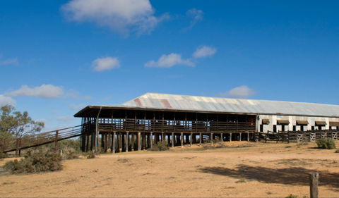 Kinchega Woolshed - Accommodation Sunshine Coast 0