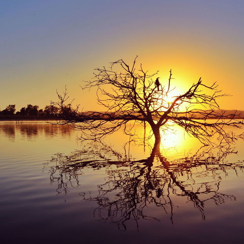 Lake Dyer - Accommodation Sunshine Coast 0