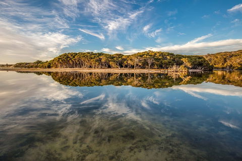 Lashmar Conservation Park - Accommodation Sunshine Coast 0
