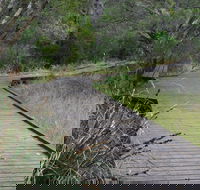 Leschenault Peninsula Conservation Park - Accommodation Sunshine Coast