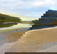 Mangrove Walk - Accommodation Sunshine Coast