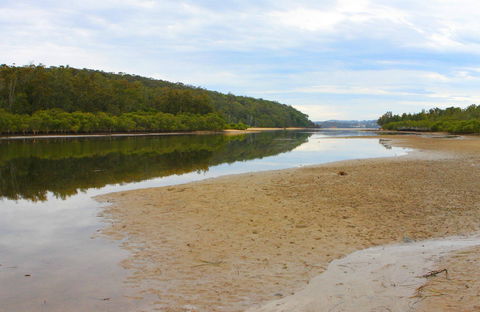 Mangrove Walk - Accommodation Sunshine Coast 0