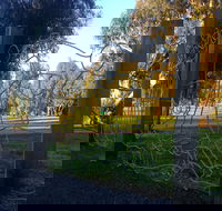Mansfield Botanic Park - Accommodation Sunshine Coast