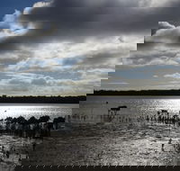 Marine Parade Hastings Foreshore Reserve Circuit - Cycling - Accommodation Sunshine Coast