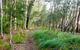 Meroo Lake Walking Track - thumb 0