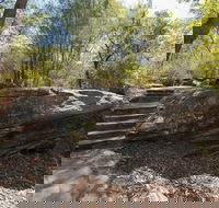 Mooney Mooney nature walk - Accommodation Sunshine Coast