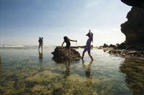 Mornington Peninsula National Park - Accommodation Sunshine Coast 2