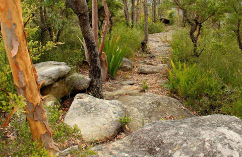 Mount Olive Trail - Accommodation Sunshine Coast 0