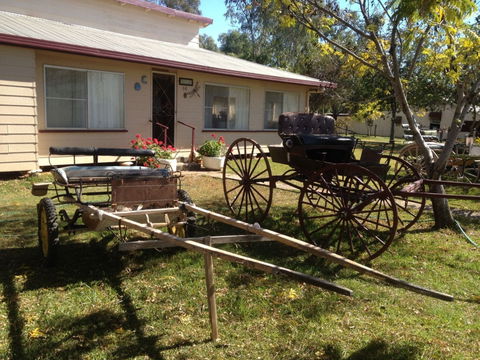 Mr And Mrs Behan Sulky Display - Accommodation Sunshine Coast 0