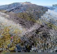 Mt Buller Bike Park - Accommodation Sunshine Coast