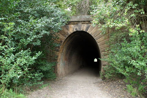 Mushroom Tunnel - Accommodation Sunshine Coast 0