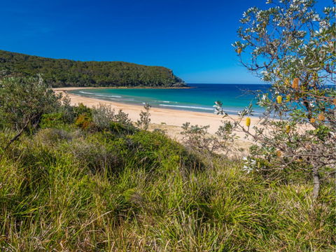 North Durras Beach - Accommodation Sunshine Coast 0