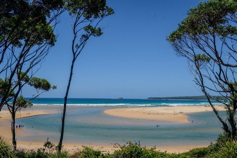North Durras Beach - Accommodation Sunshine Coast 1