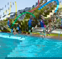 Oaklands War Memorial Swimming Pool - Accommodation Sunshine Coast
