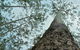 O'Sullivans Gap Picnic Area - thumb 0