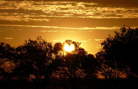 Paroo-Darling National Park - Accommodation Sunshine Coast 0
