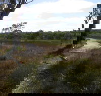 Penola Conservation Park - Accommodation Sunshine Coast