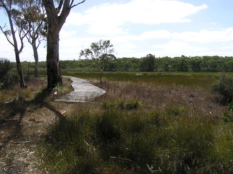 Penola Conservation Park - Accommodation Sunshine Coast 0