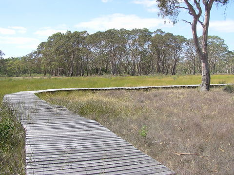 Penola Conservation Park - Accommodation Sunshine Coast 1
