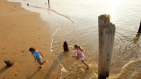 Phillip Island - Accommodation Sunshine Coast 0