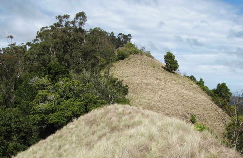 Pieries Peak Walking Track - Accommodation Sunshine Coast 0
