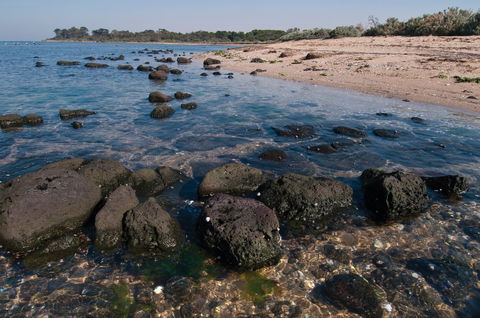 Point Cook Marine Sanctuary - Accommodation Sunshine Coast 0