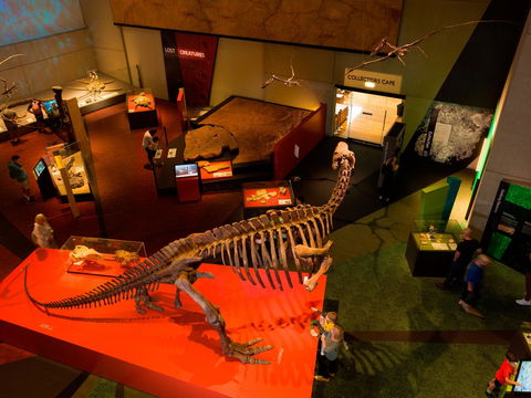 Queensland Museum - Accommodation Sunshine Coast 2