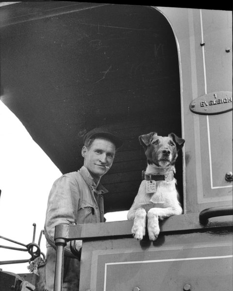 Railway Temora - Accommodation Sunshine Coast 0