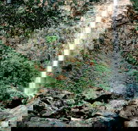 Rawson Falls Walk - Accommodation Sunshine Coast