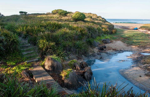 Richmond Beach - Accommodation Sunshine Coast 0