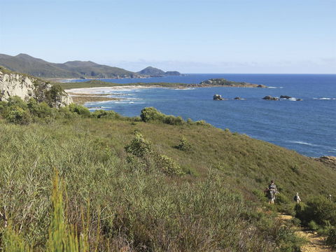 Rocky Cape National Park - Accommodation Sunshine Coast 1