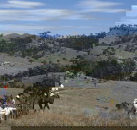 Rosebrook - Accommodation Sunshine Coast