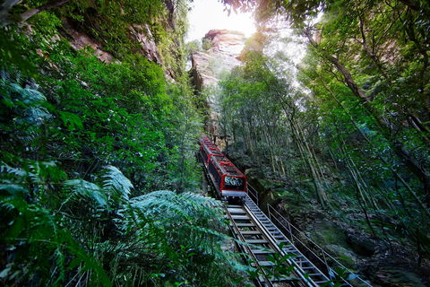 Scenic World Blue Mountains - Accommodation Sunshine Coast 0