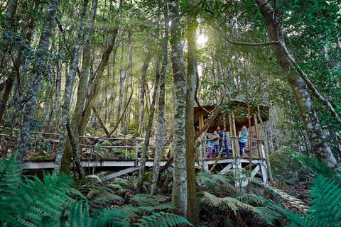 Scenic World Blue Mountains - Accommodation Sunshine Coast 2